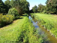 Arcades de la Rigole de Vioreau