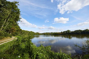 Berges de la Mayenne