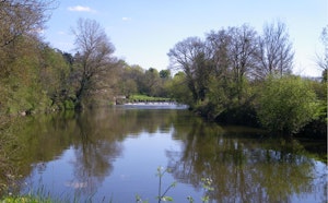Banks of the Sèvre and Vineyards