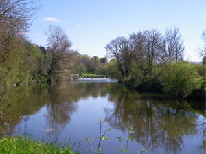 Rives de la Sèvre et vignoble