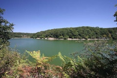 Banks of the Vendée
