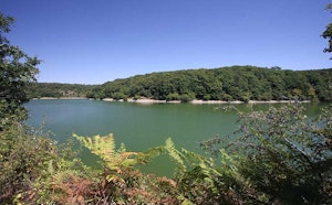 Banks of the Vendée