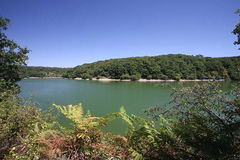 Banks of the Vendée