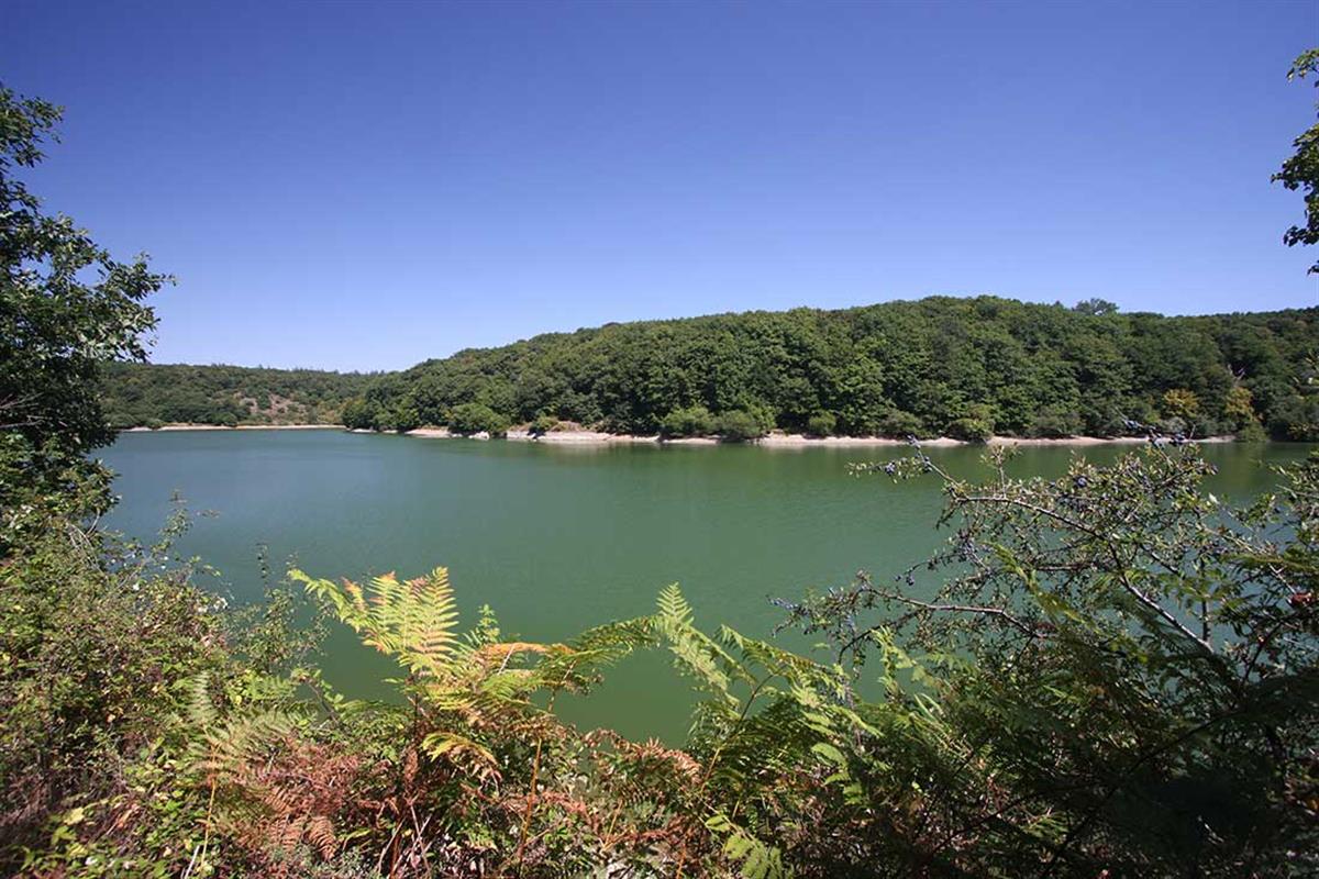 Bords de la Vendée