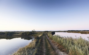 Autour de Mesquer