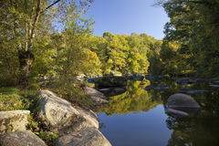 Bois de la Barbinière