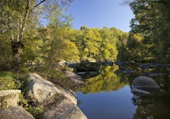 Bois de la Barbinière