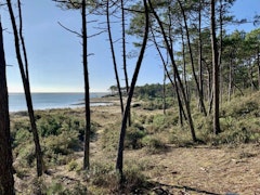 Bois du Veillon