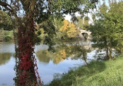 Banks of Authion