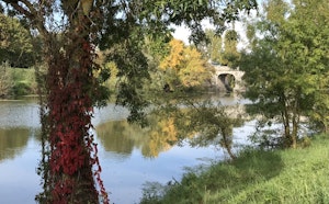 Banks of Authion