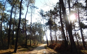 Boucle du Loir