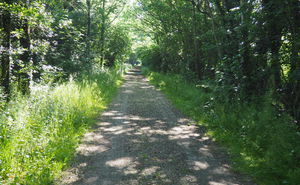 Circuit d'Anthenaise