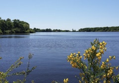 Étang de Péronne