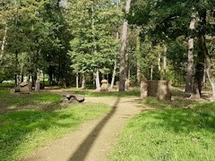 Forêt de Courcy