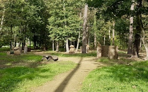 Forêt de Courcy