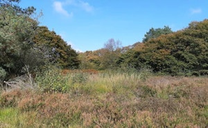 Forêt de Multonne and Mont des Avaloirs