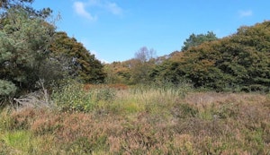 Forêt de Multonne and Mont des Avaloirs