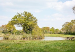 Fouilloux