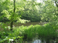 Along the Gesvres