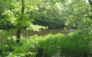 Along the Gesvres