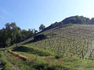 Le Pont-Barré depuis le Breuil