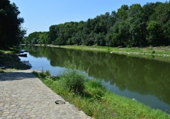 Île de Béhuard