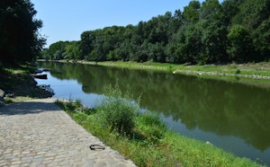 Île de Béhuard