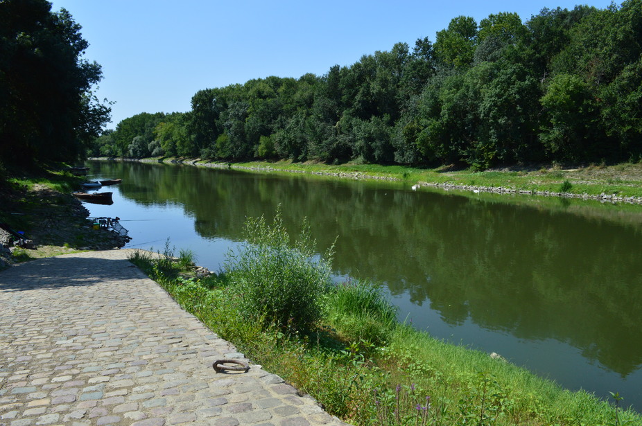 Île de Béhuard