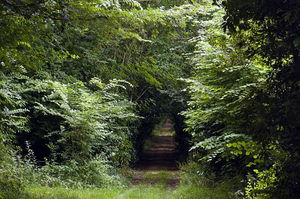 Circuit de la Pihoraye