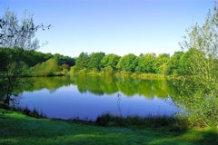 Lac de la Chausselière
