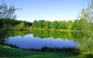 Lac de la Chausselière