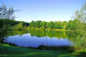 Lac de la Chausselière