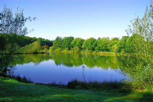 Lac de la Chausselière