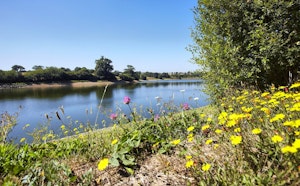 Lac du Gué Gorand