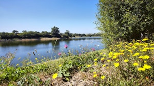 Lac du Gué Gorand