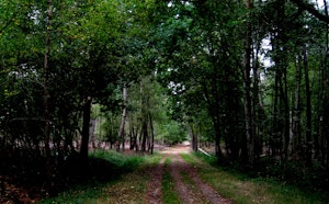 Les Loudonneaux