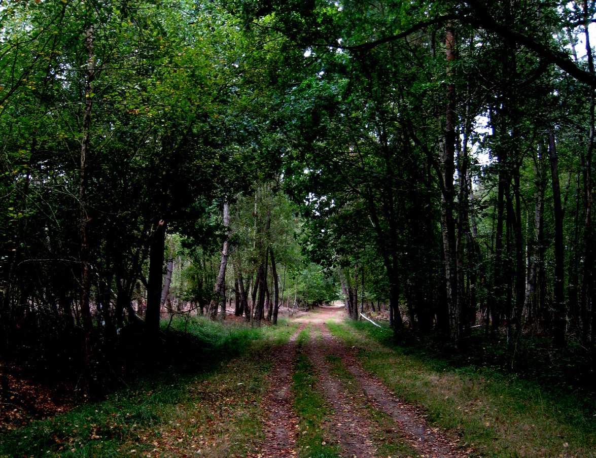 Les Loudonneaux