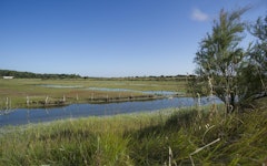 Marais d'Olonne