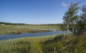 Marais d'Olonne
