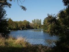 Marshes of Cré sur Loir