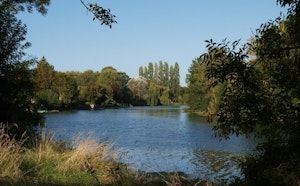 Marshes of Cré sur Loir