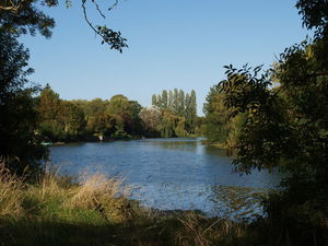 Marais de Cré sur Loir