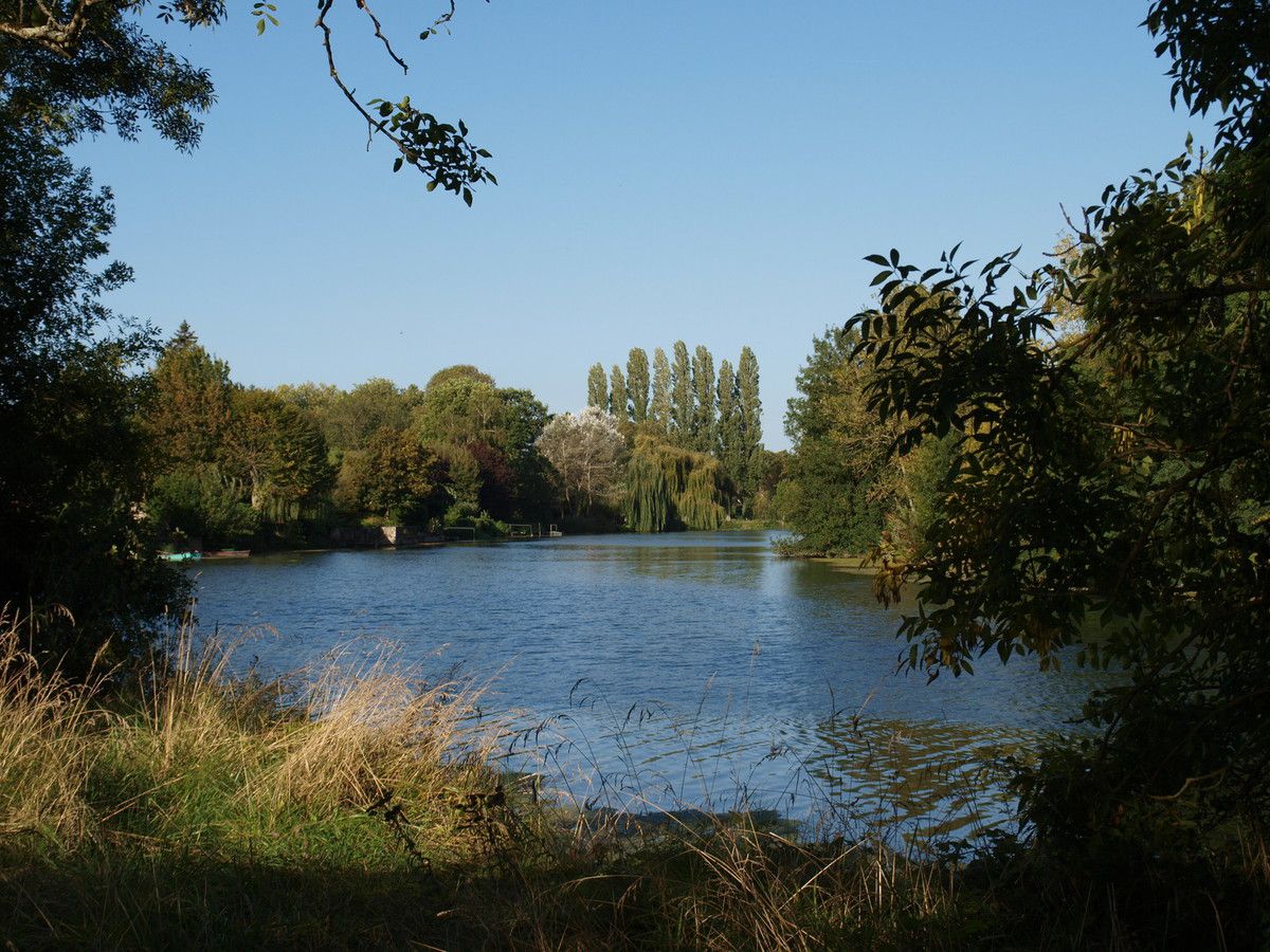 Marais de Cré sur Loir