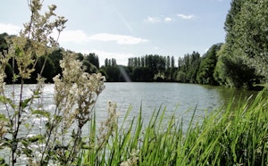 Plan d'Eau du Port and banks of the Mayenne