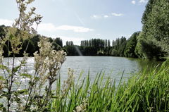 Plan d'Eau du Port and banks of the Mayenne