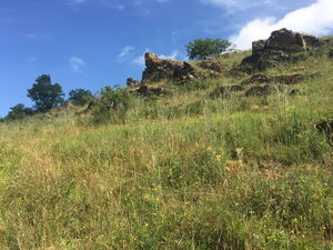 Le Pont-Barré depuis Saint-Lambert-du-Lattay
