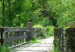 Around Saint-Lambert-du-Lattay