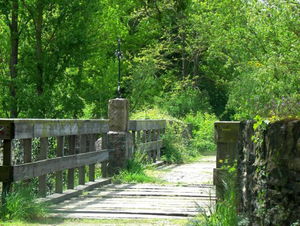 Autour de Saint-Lambert-du-Lattay