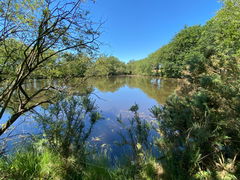 Terril and Étang d'Abbaretz