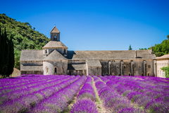 Abbaye Notre-Dame de Sénanque